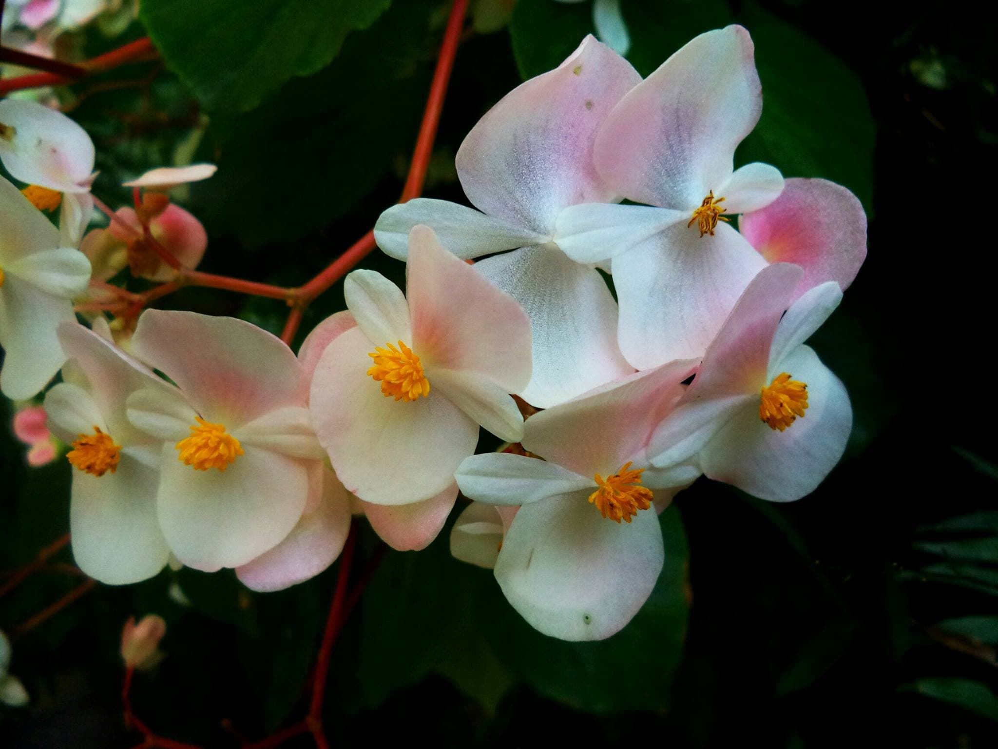 Foto de Cuidado Personal