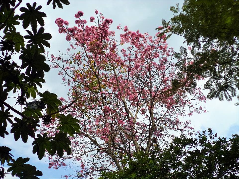 Foto de Proyectos Sociales